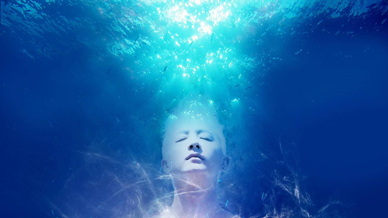 怎么在知乎中查看用户ID? ， 知乎 iphone6被盗id,开机出现白苹果怎么办  - 55dz账号网