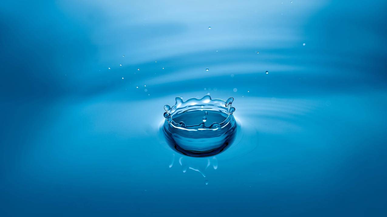 百度手机助手官方下载2021最新版_百度手机助手官方下载2020最新版 - skype相关 - 55dz账号网