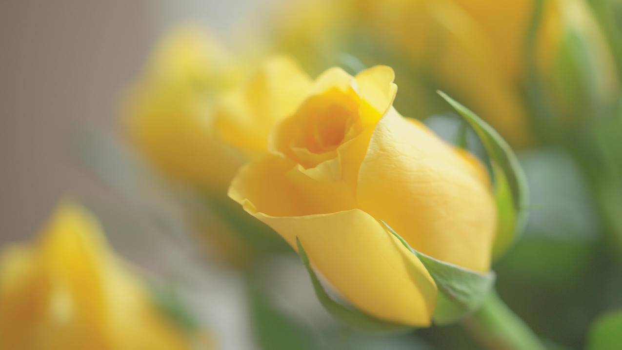 极速带刷网 - 刷赞抖音网站-qq在线空间说说刷赞