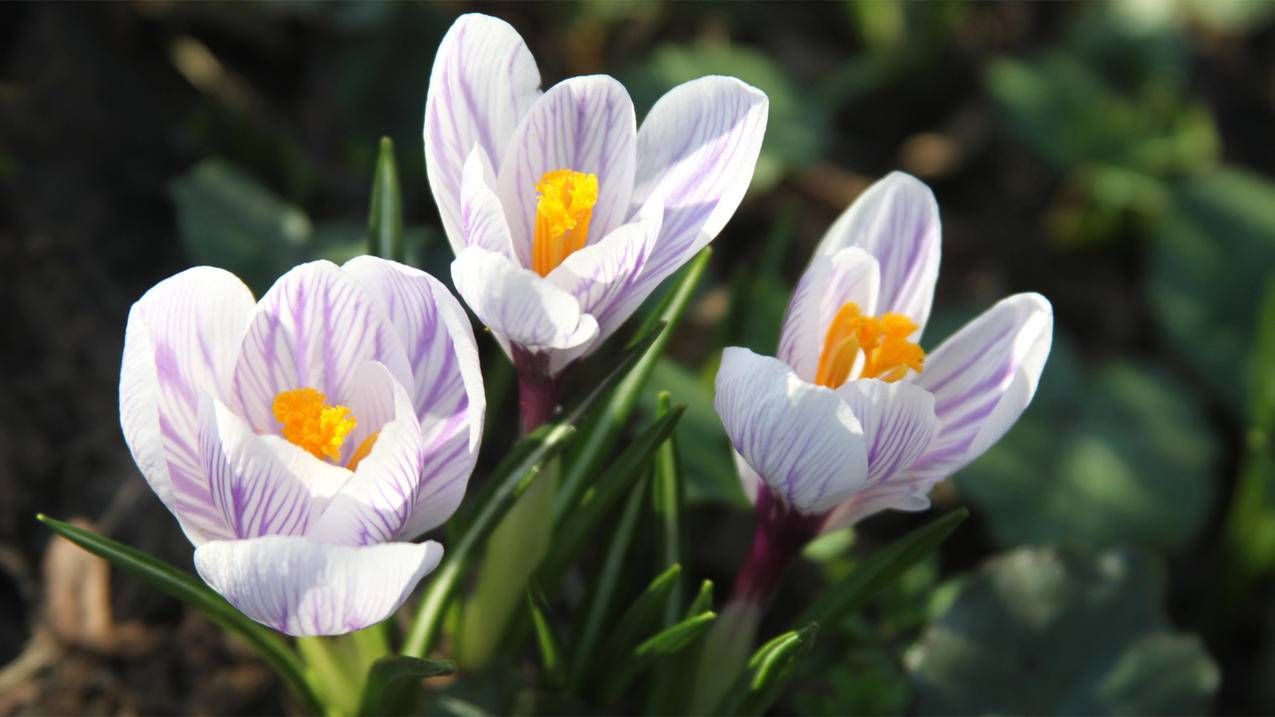 ins twitter facebook区别  ( 推特和facebook区别 ) - 55dz账号网