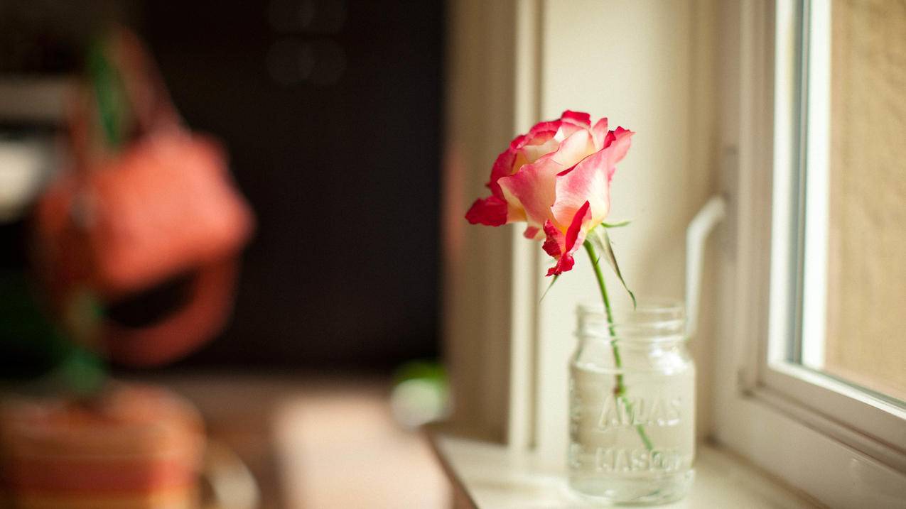 苹果id密码忘了怎么解锁? ， 苹果手机id锁怎么解锁,忘了怎么办?  - 55dz账号网