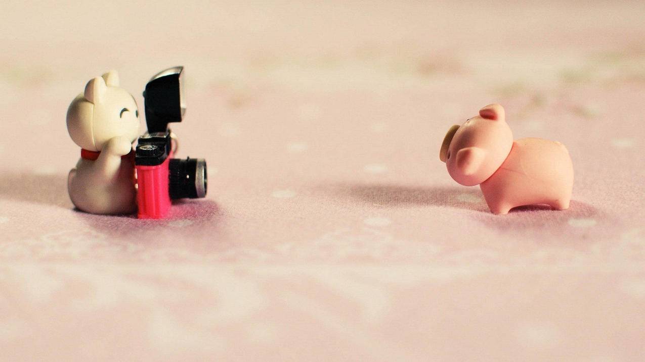 照片的后缀是什么格式_一般图片格式后缀 - gmail相关 - 55dz账号网