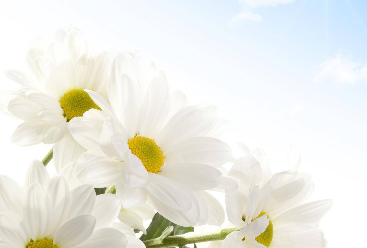 香港苹果id问题客服电话多少_注册香港苹果id需要电话 - 香港苹果ID - 55dz账号网