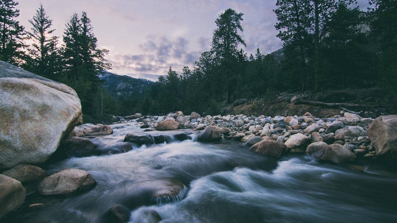 P站为什么国内进不去_为啥p站进不去 - gmail相关 - 55dz账号网