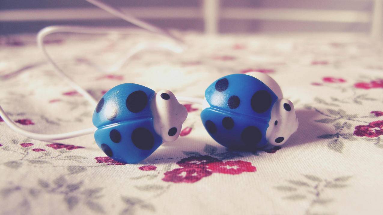 2020小火箭美区账号分享_最新小火箭美区账号 - 注册外服方法 - 55dz账号网