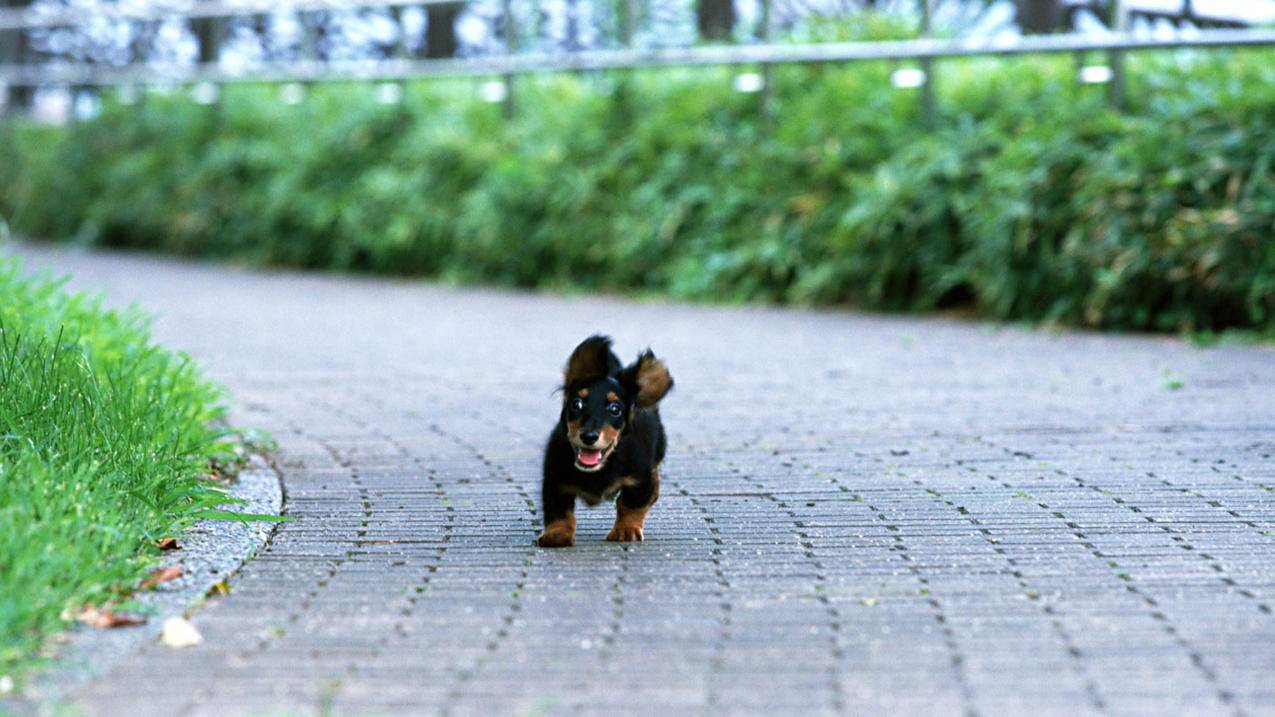 腾讯nba2konline手机版_nba2konline移动版 - Line相关 - 55dz账号网