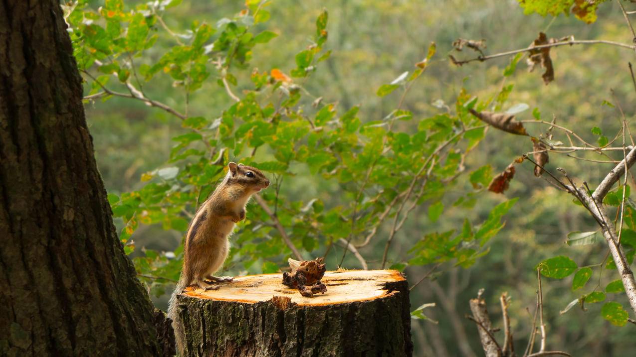 注册facebook账号显示错误_注册facebook账号出错了 - facebook相关 - 55dz账号网