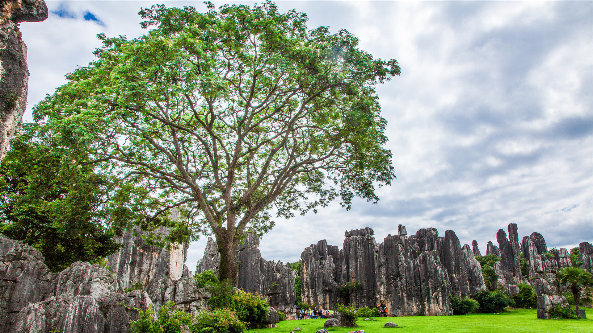 更换越南apple id电话号码无效（更改apple id电话号码无效） - 各区苹果ID - 55dz账号网