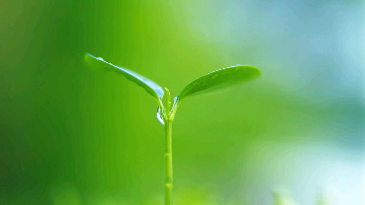 光遇用台湾appleid登陆游戏账号是什么_光遇游戏id是账号吗 - 台湾苹果ID - 55dz账号网