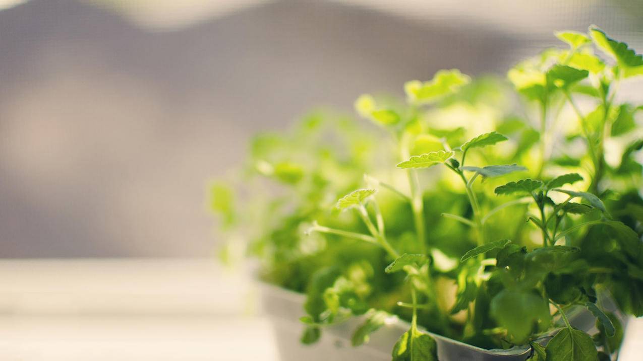 茂业卡盟自助平台-qq代刷网个性标签赞,qq空间刷赞手机,抖音作品点赞刷