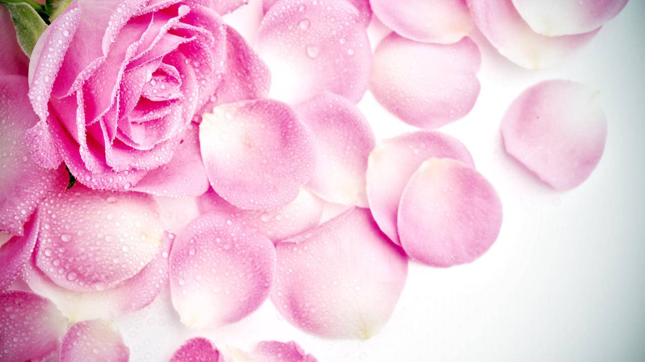 苹果id如何更换绑定手机号码 ， 苹果id怎么修改绑定手机号码  - 55dz账号网