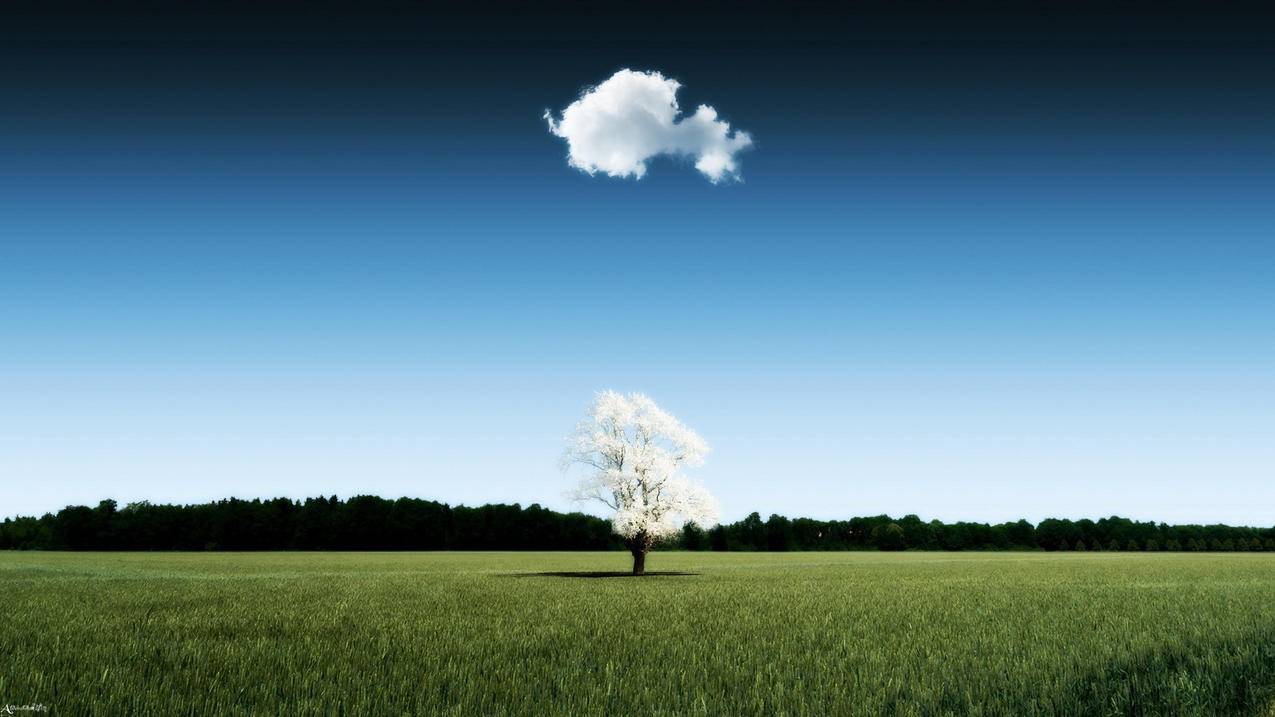 苹果13怎么安装两个微信_苹果13怎么安装两个微信软件 - skype相关 - 55dz账号网