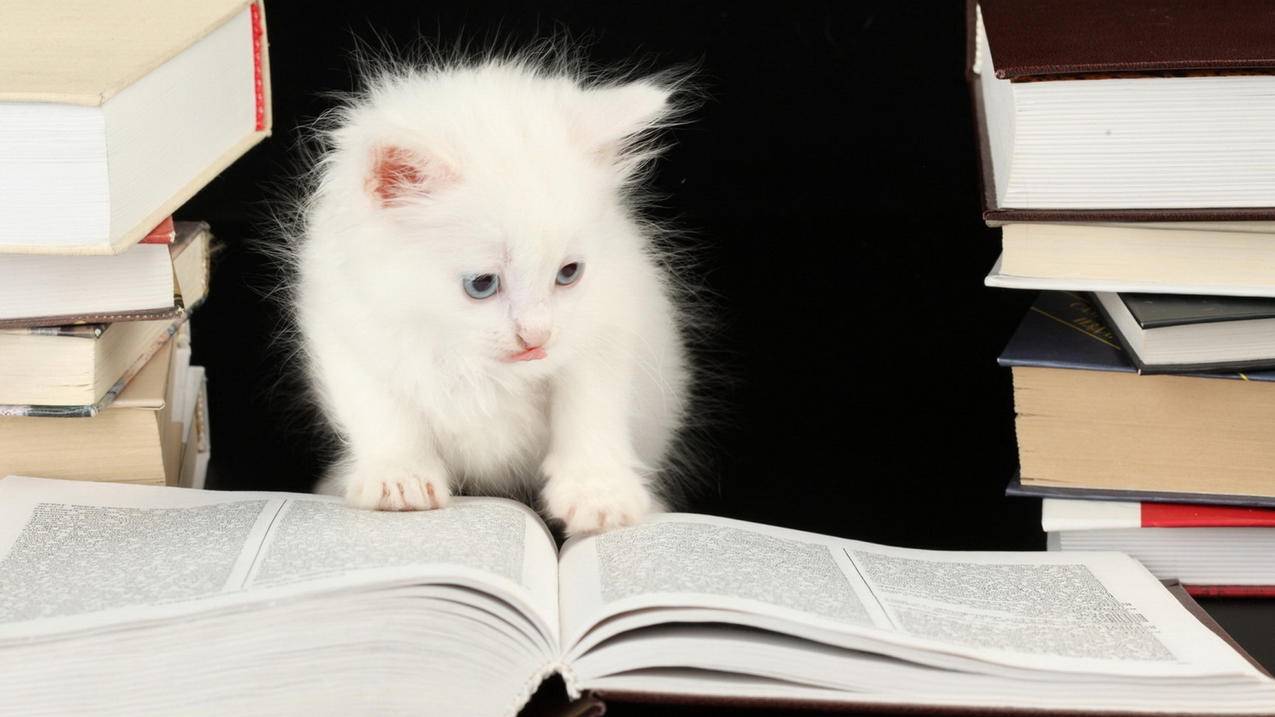 安卓7怎么下载光遇_安卓7怎么下载光遇渠道服 - gmail相关 - 55dz账号网