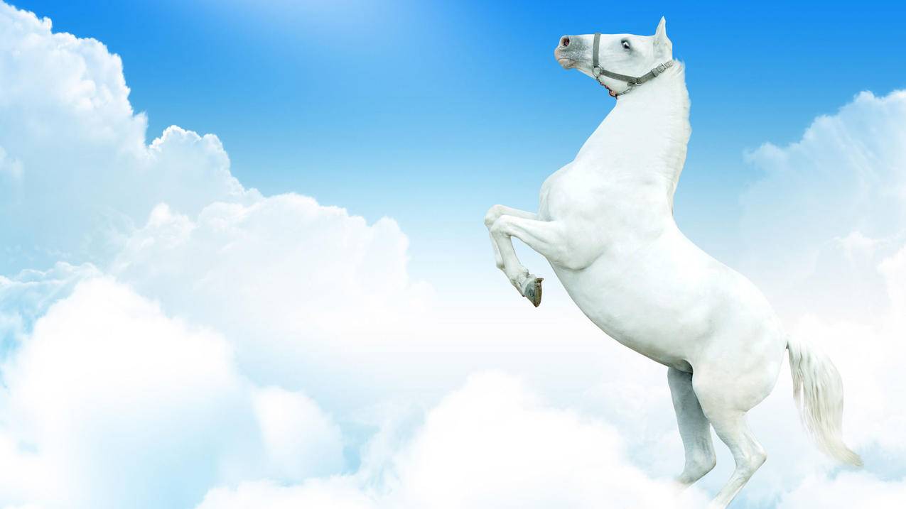 抖音最低价在线刷赞 - 刷赞阿豪代刷网-草莓代刷网