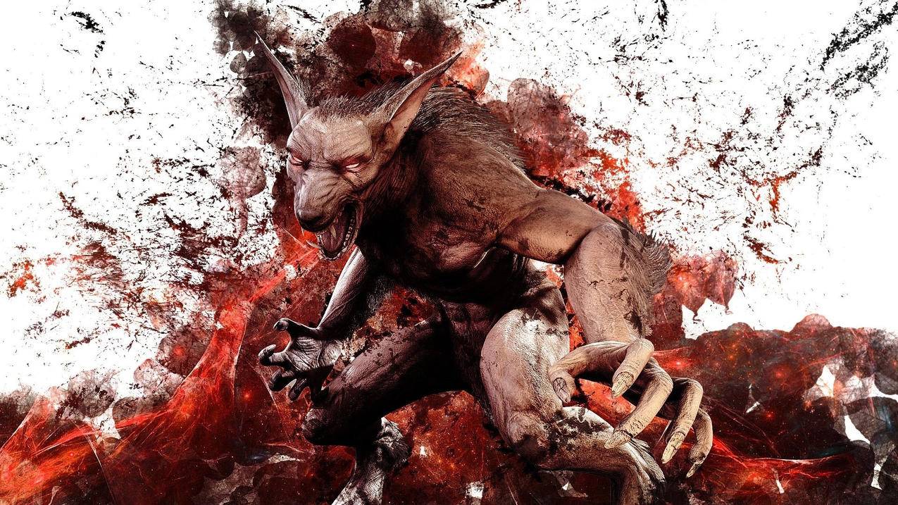 小红书如何关闭相机权限？简单设置步骤教学 - 网络资讯 - ks业务下单