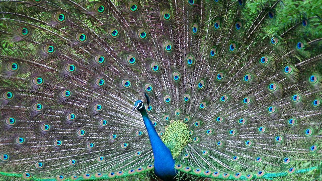 苹果微信怎么登录两个账号怎么办_微信如何登录两个号苹果 - 微信相关 - 55dz账号网