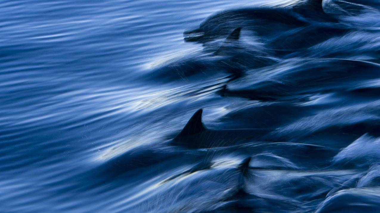 怎么注册苹果id,需要什么 ， 苹果手机创ID需要钱吗?  - 55dz账号网