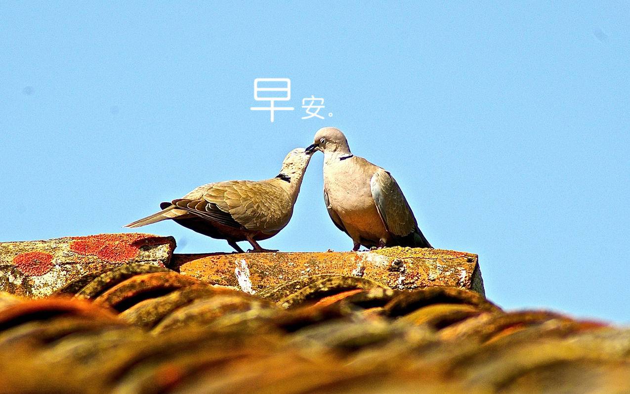 韩国苹果id购买记录彻底删除知乎_韩国苹果id购买记录彻底删除知乎怎么办 - 韩国苹果id - 55dz账号网