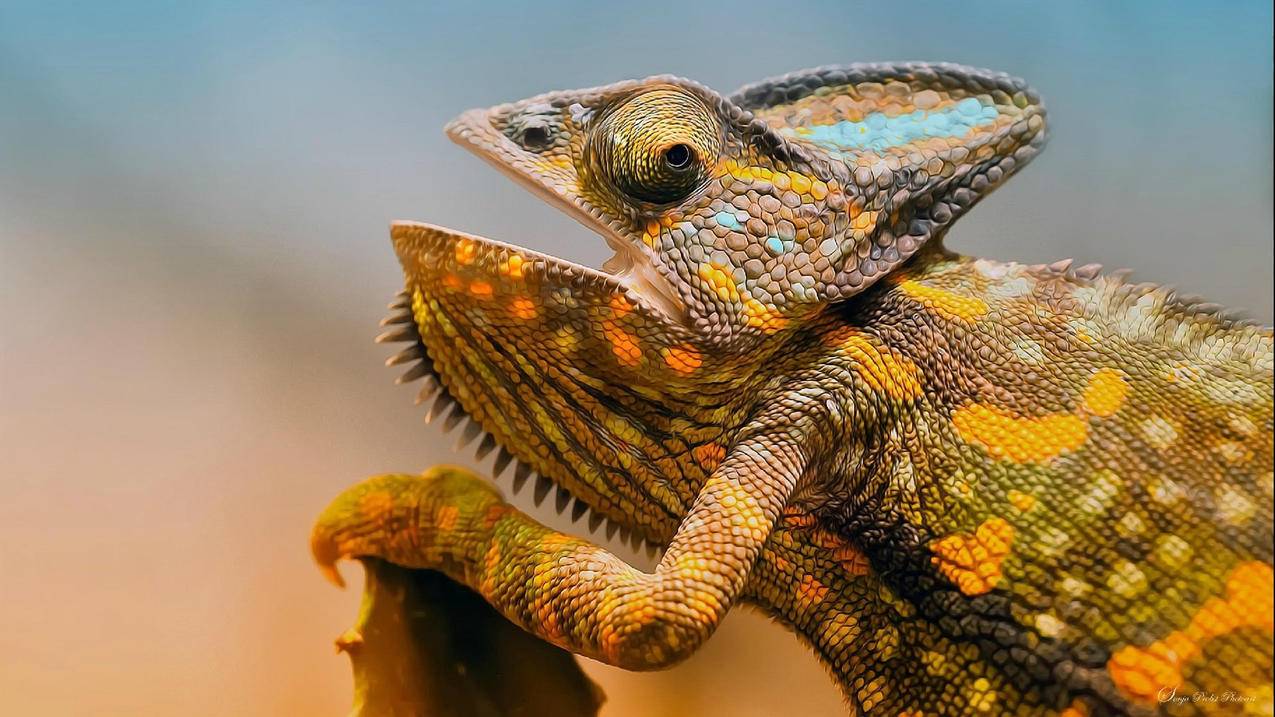 查找香港苹果id位置准吗_苹果香港id地址和电话 - 香港苹果ID - 55dz账号网