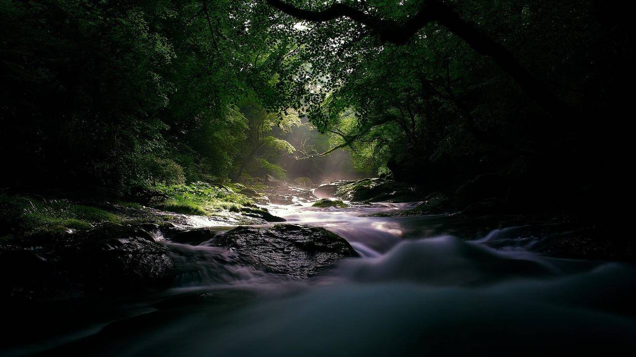 抖音在线刷赞24小时下单平台-qq业务自助平台秒刷免费