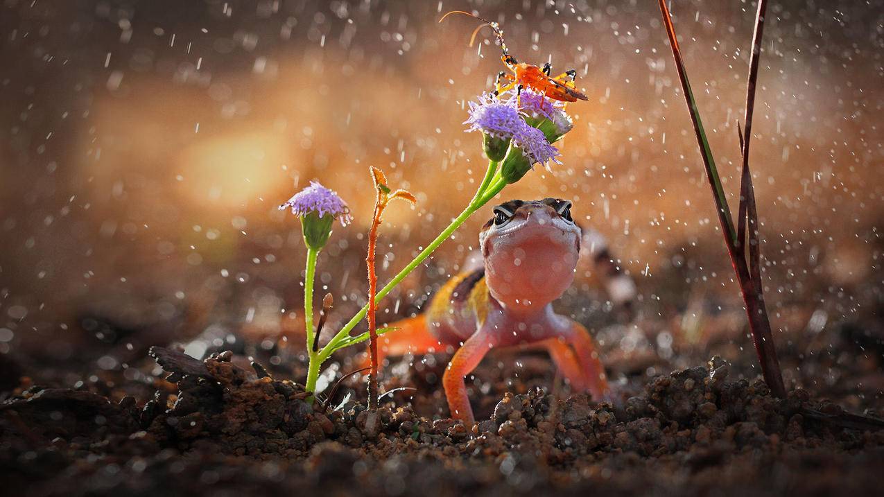 办理什么业务可向车辆管理所申请使用原机动车号牌号码？ - Apple ID相关 - 55dz账号网