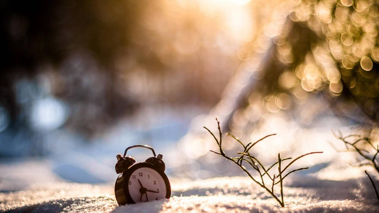 tiktok官方网下载_tiktok官网下载最新版 - 苹果APP下载 - 55dz账号网