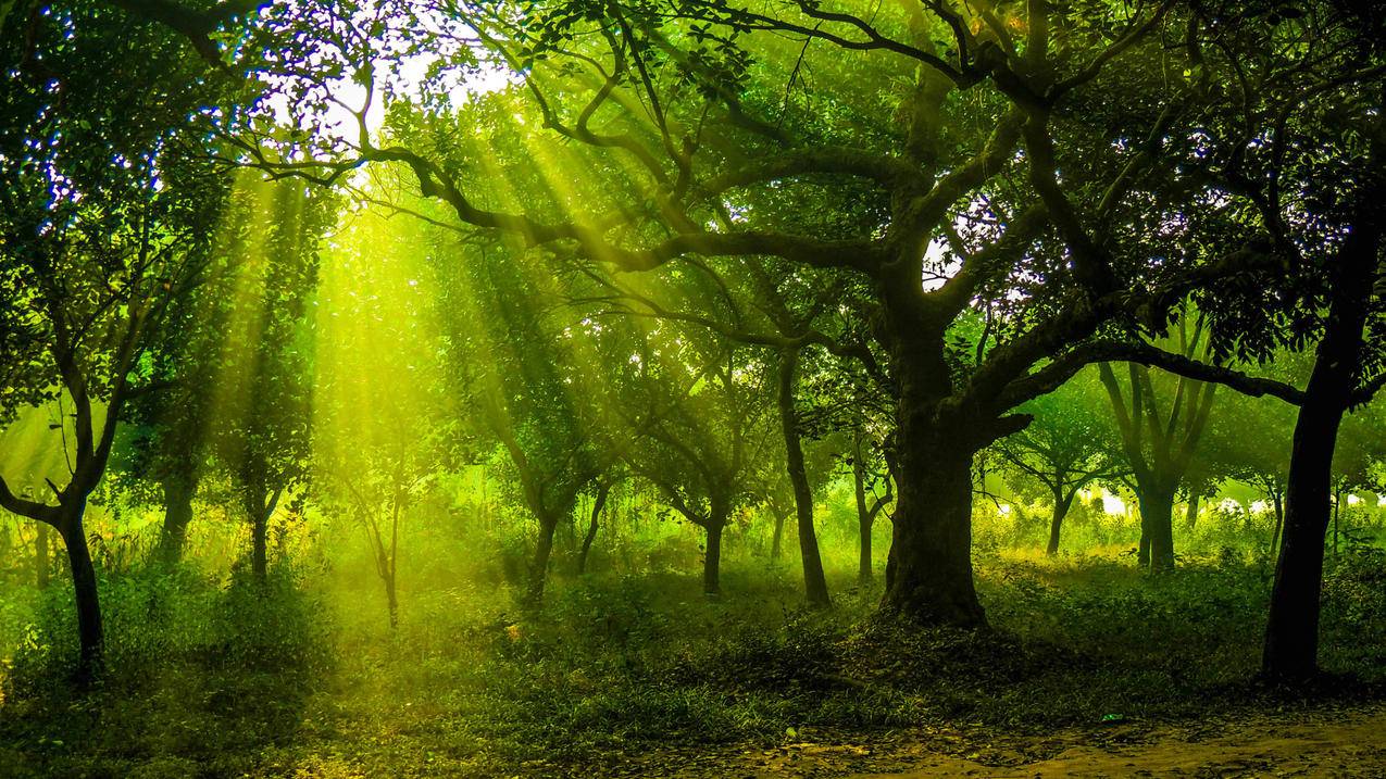 美国appleid怎么激活facetime_苹果apple id怎么激活 - 美国苹果ID - 55dz账号网