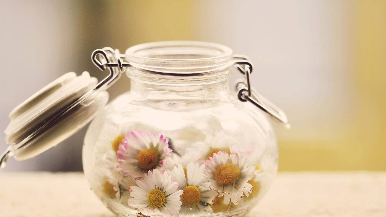 ins填生日创建账户出现问题_ins注册生日怎么填 - INS相关 - 55dz账号网