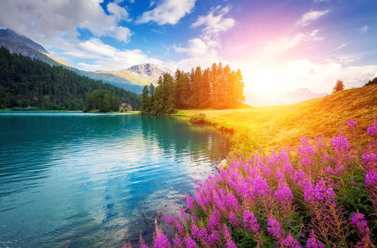 子心秒赞网 - 抖音低价业务平台,低价qq刷空间说说赞5个,天天秒刷赞QQ