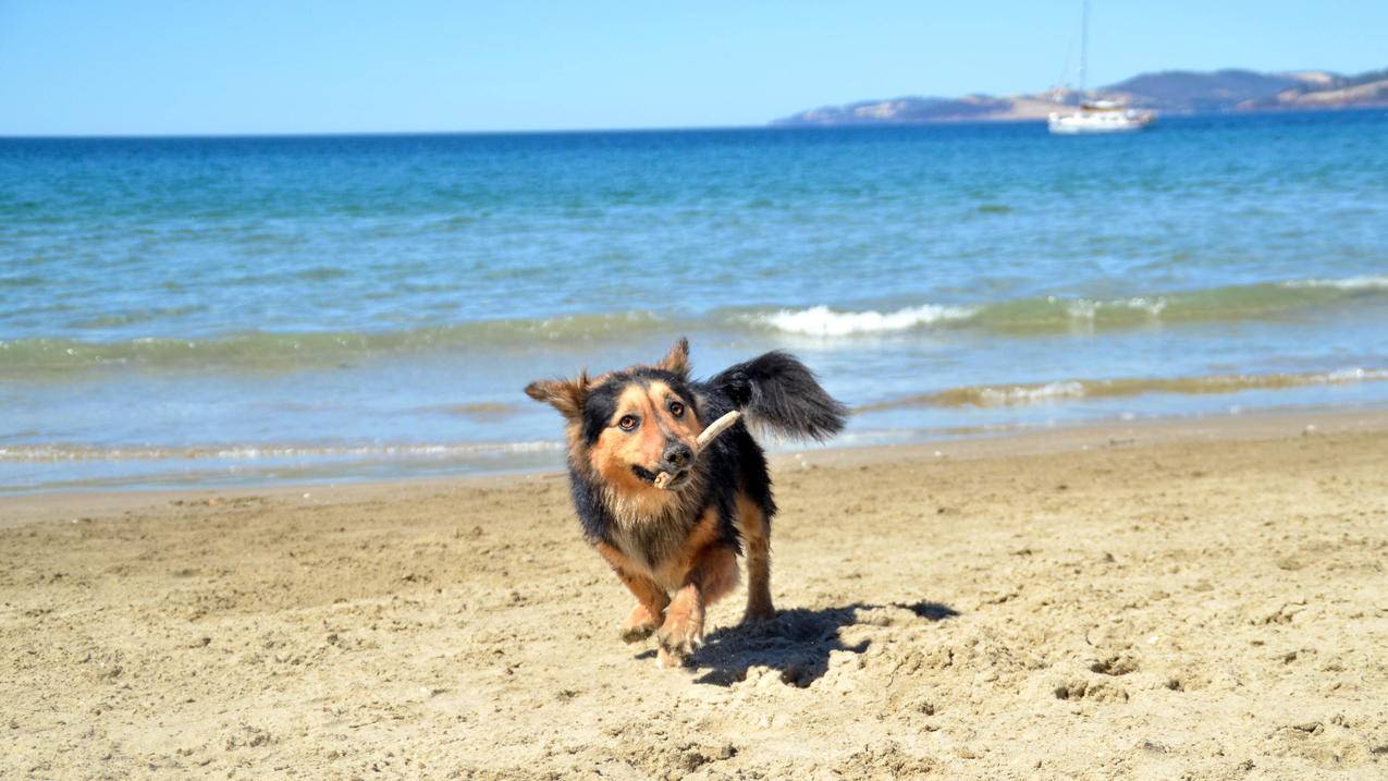 韩国id电话怎么填付款_大象的出生方式 - 韩国苹果id - 55dz账号网