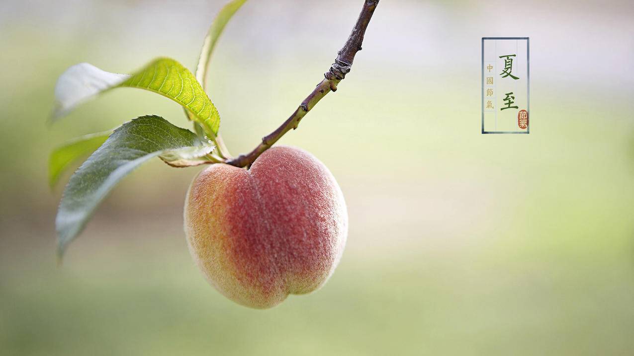 求个SSR用的绕过大陆IP的PAC  ( 潘多拉shadowsock设置 ) - 55dz账号网