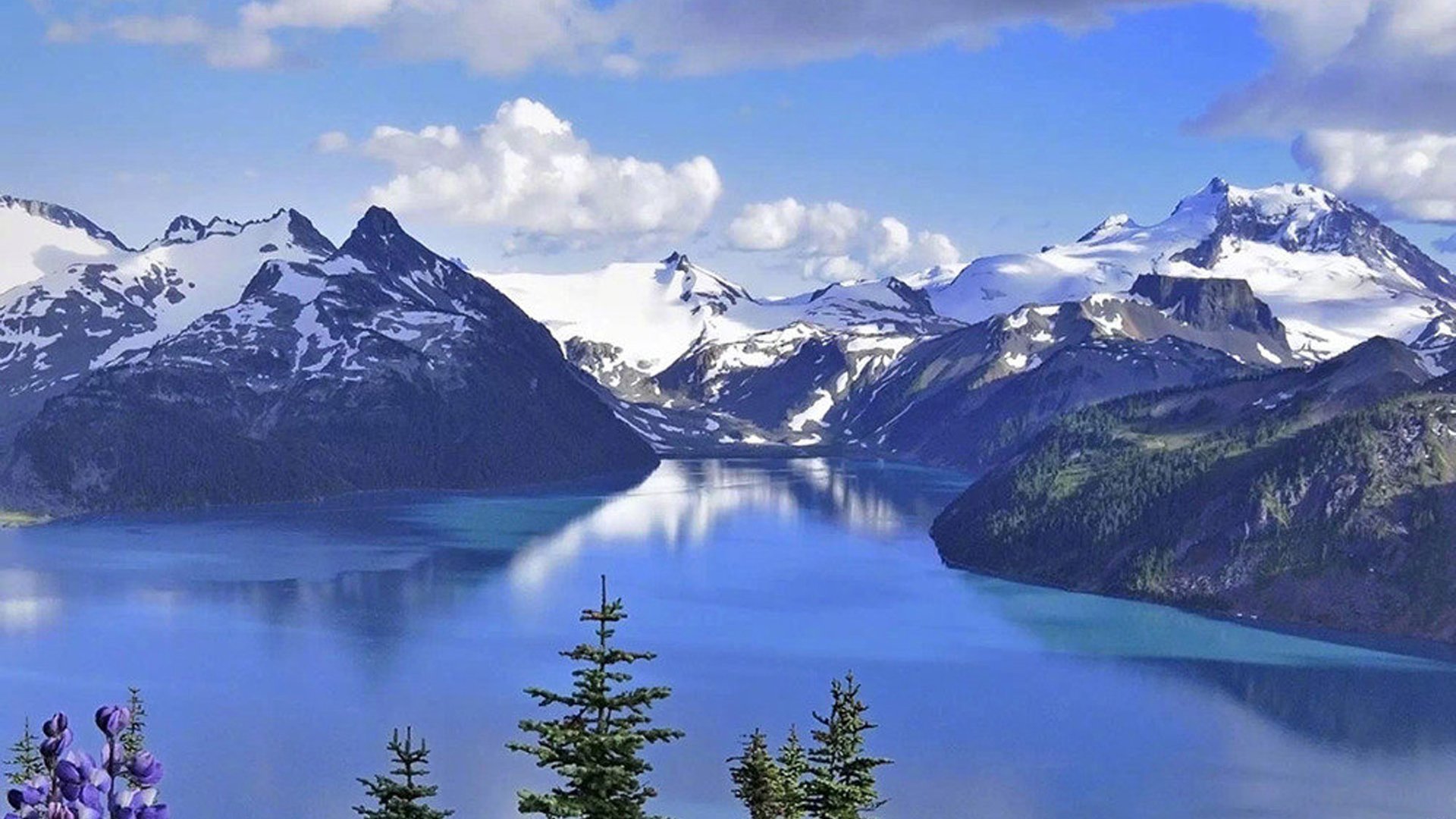 现在淘宝上卖的苹果ID充值安全吗? ， 苹果id买卖犯法吗  - 55dz账号网