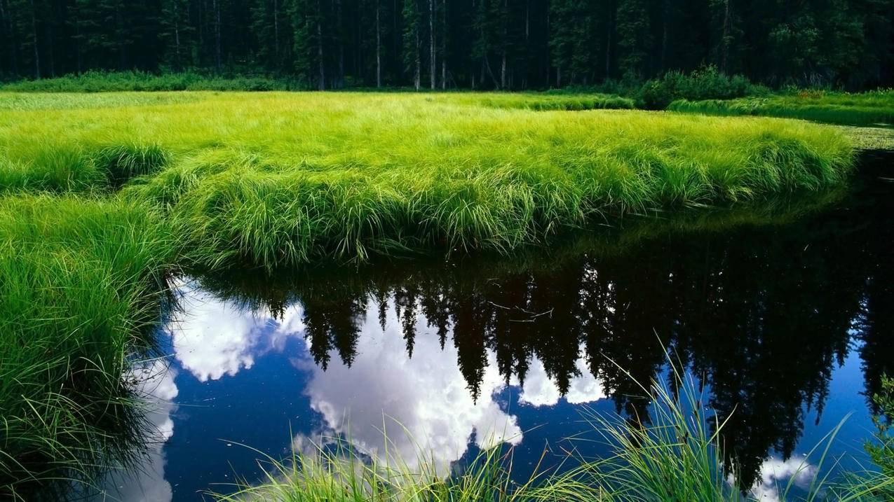 fifaonline4买的球员一直在登记中_fifaonline4未登记球员 - Line相关 - 55dz账号网