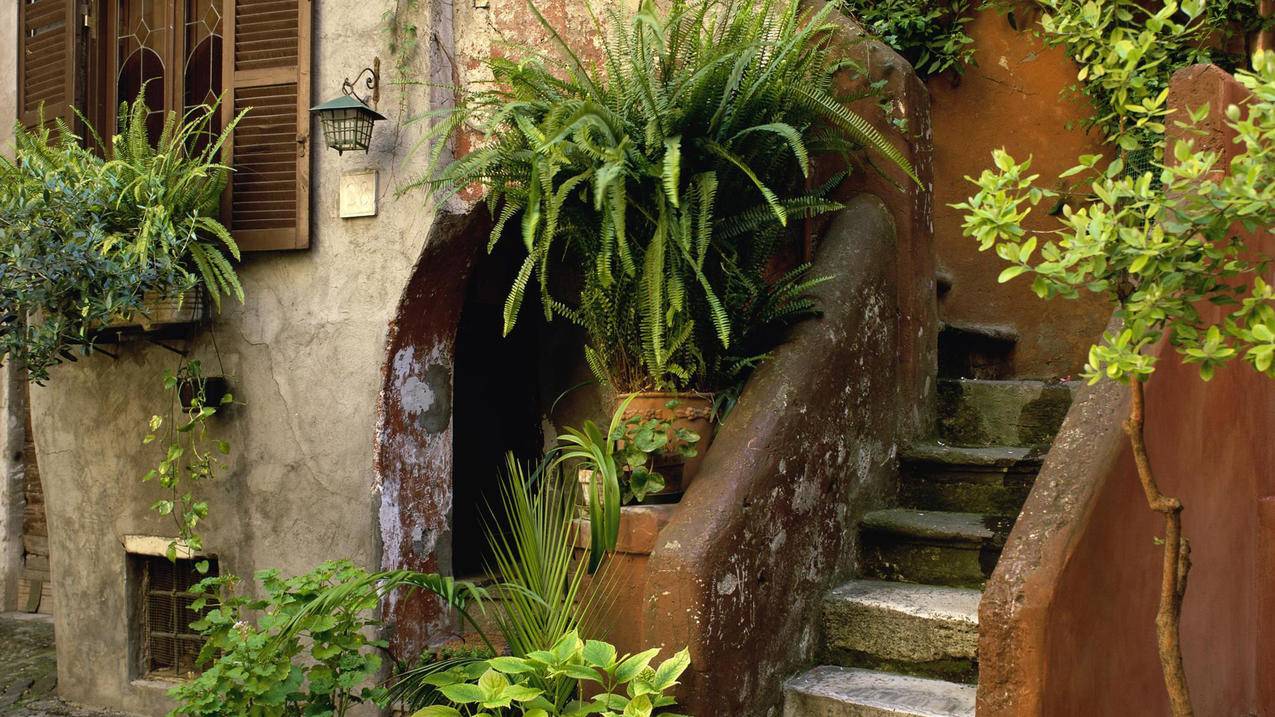 金凤区黄河东路街道：多方联动画好文明城市创建“同心圆” - Apple ID相关 - 55dz账号网