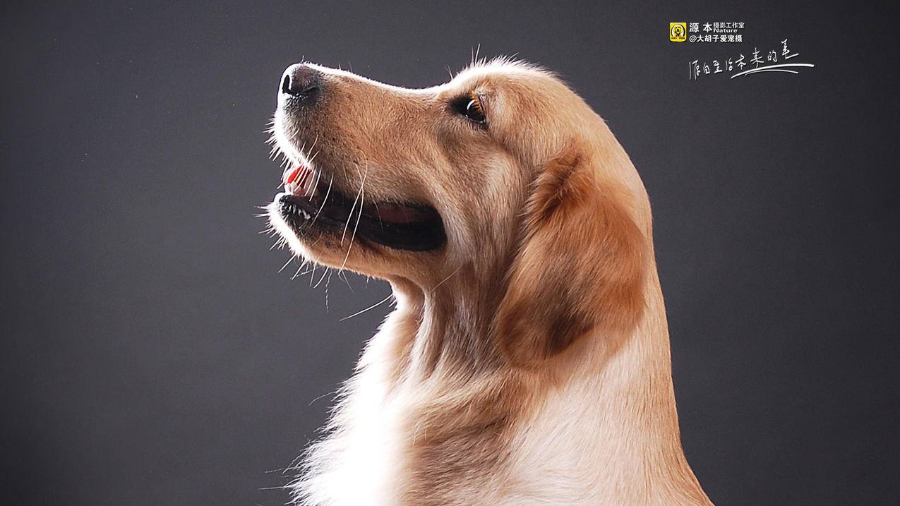 qq空间买点赞1毛10000赞 - qq超低价刷空间留言,唱鸭自助业务下单