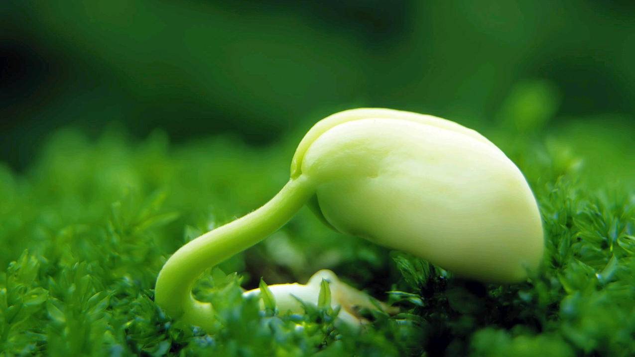 扩列人气下单平台 - 名片赞代刷网,代刷各类业务平台自助下单,易代刷,抖音刷双击代刷网