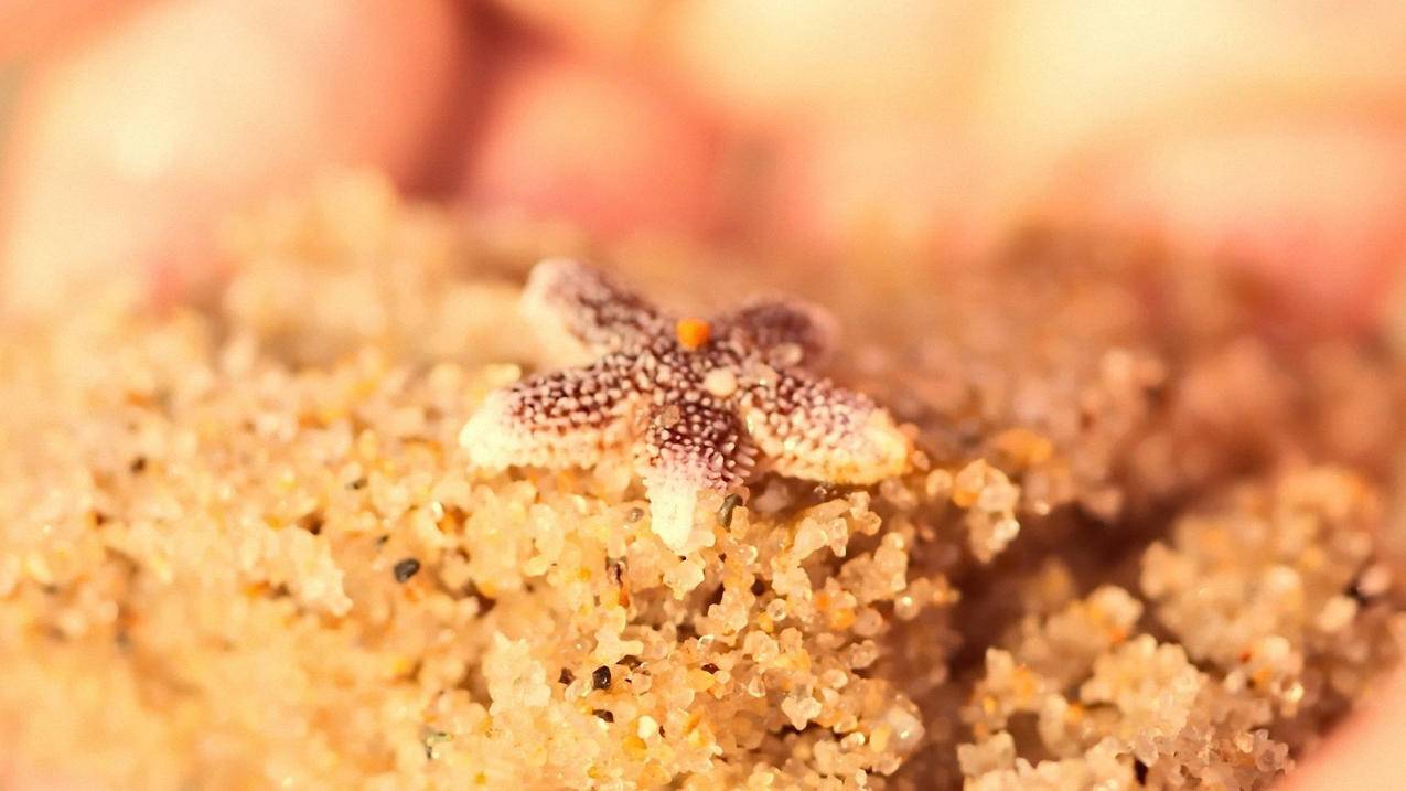 千里代刷网 - 刷赞网站全网推广免费抖音-酷酷代刷-刷赞网站平台全网