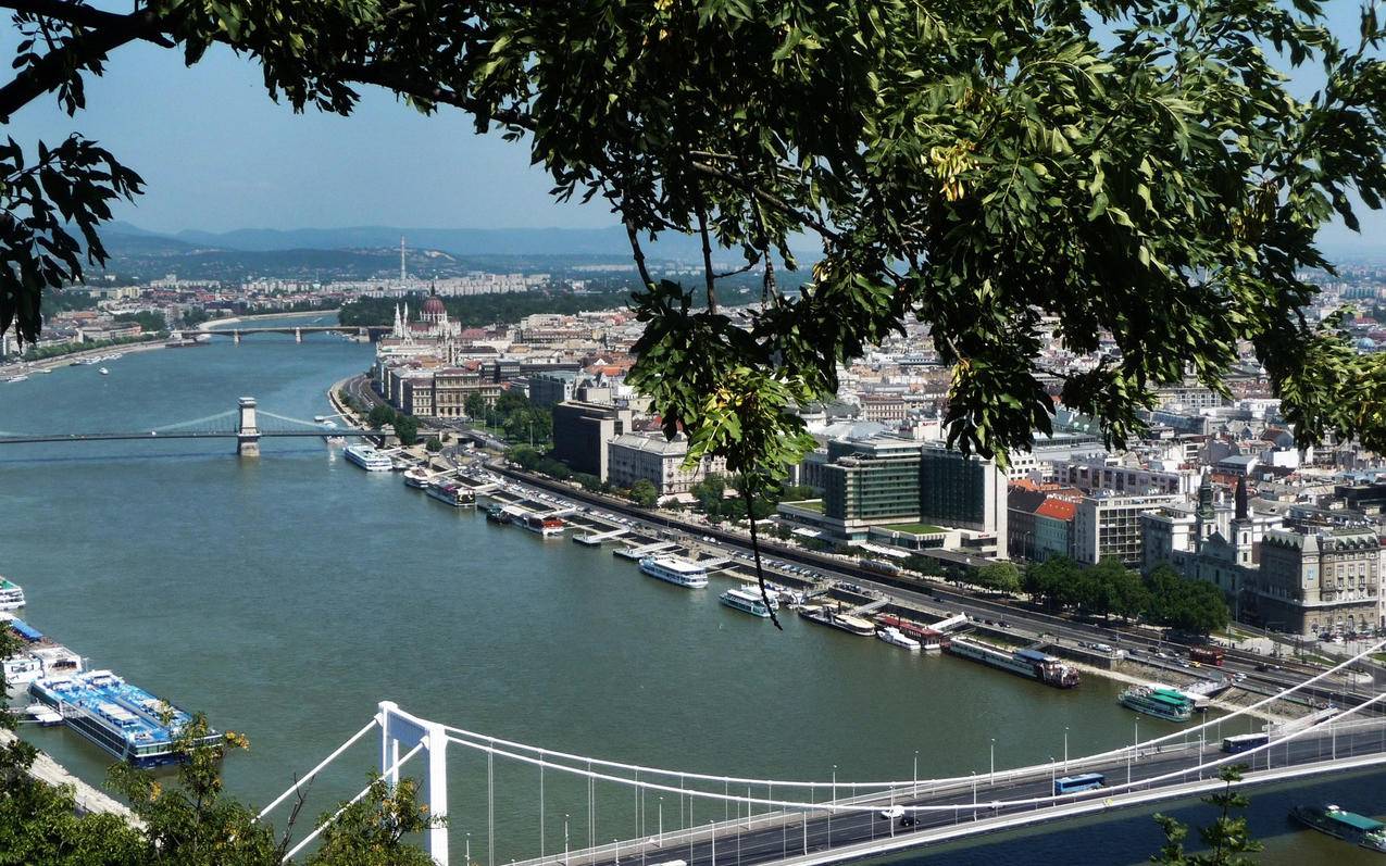 tiktok全球日活跃用户数_tiktok目前全球数据 - 苹果APP下载 - 55dz账号网