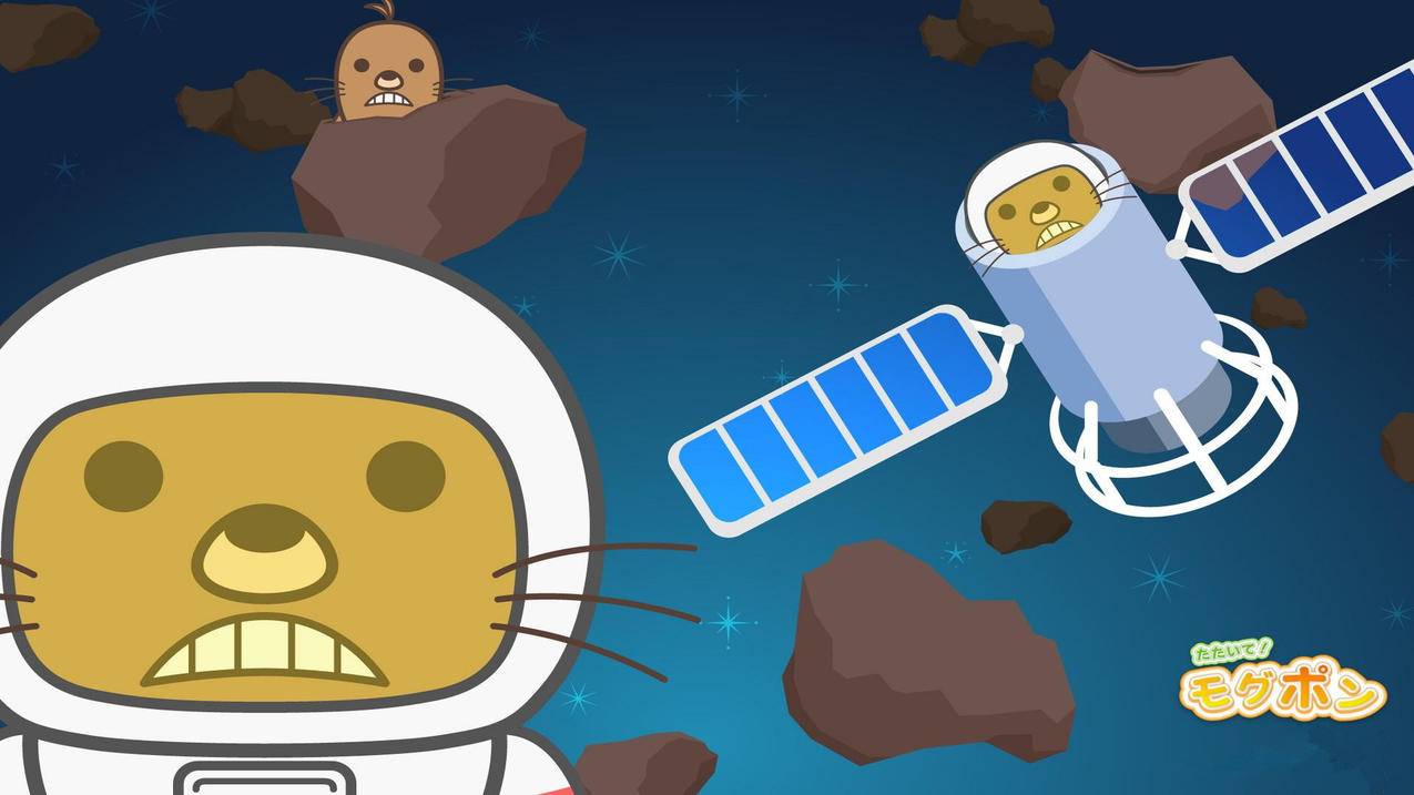 facebook注册账号申请下载_facebook账号的注册 - facebook相关 - 55dz账号网