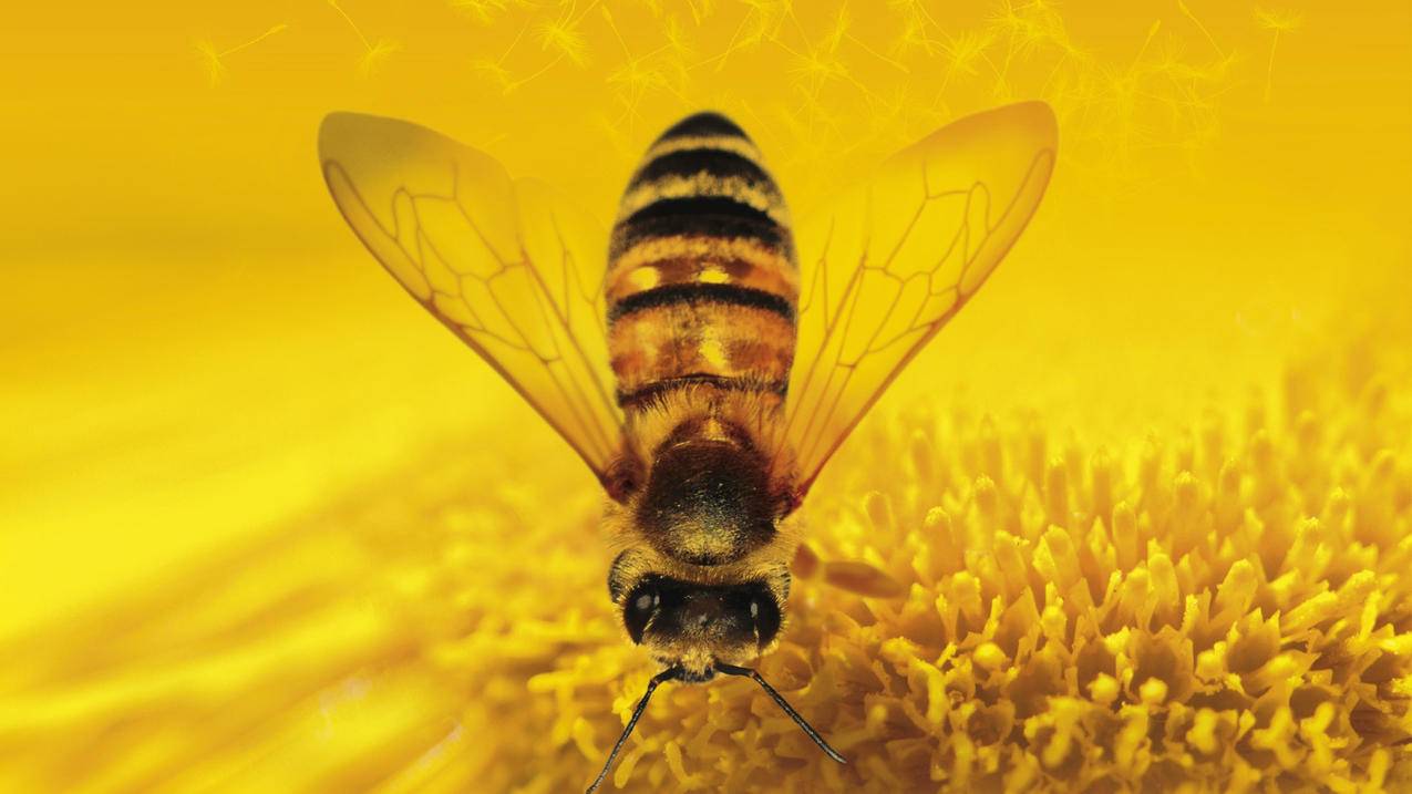 小红书如何搜索昵称名字 - 自助平台 - dy业务网