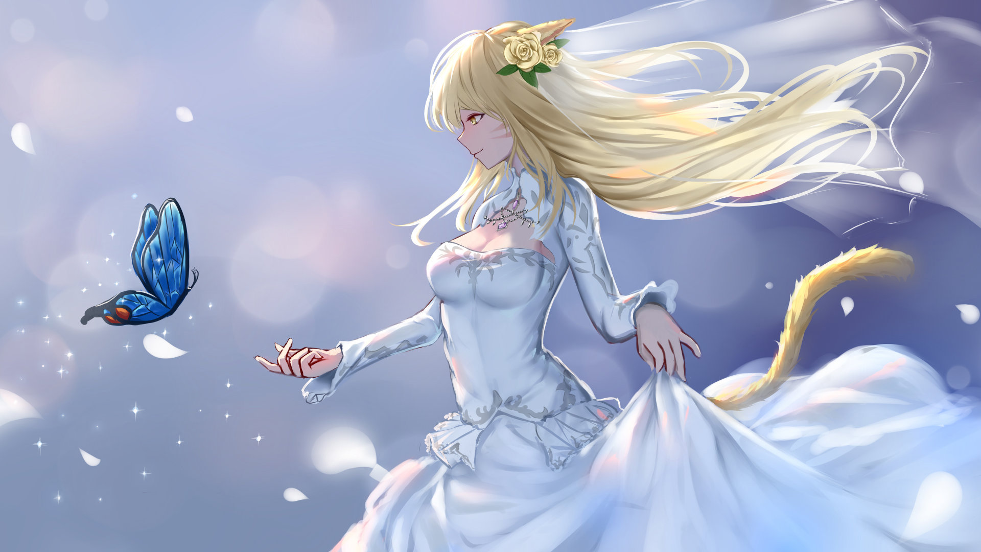 skype私人对话_Skype吧 - skype相关 - 55dz账号网