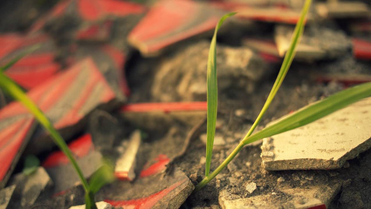 抖音什么叫账号权重-dy业务网