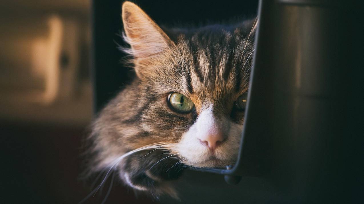 小学生暑假如何高效学好数学？ - 小学教育 - ks24小时自助