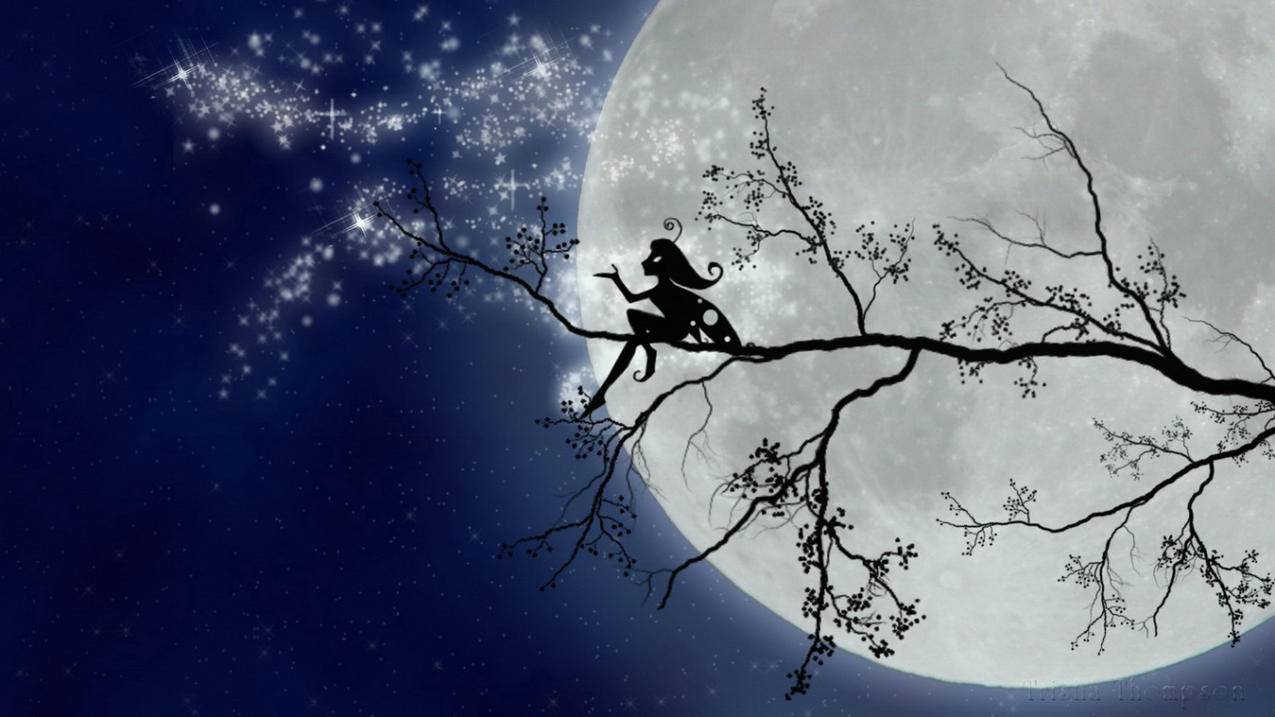 为什么ins一直在加载,注册不了_ins一直注册不成功 - INS相关 - 55dz账号网