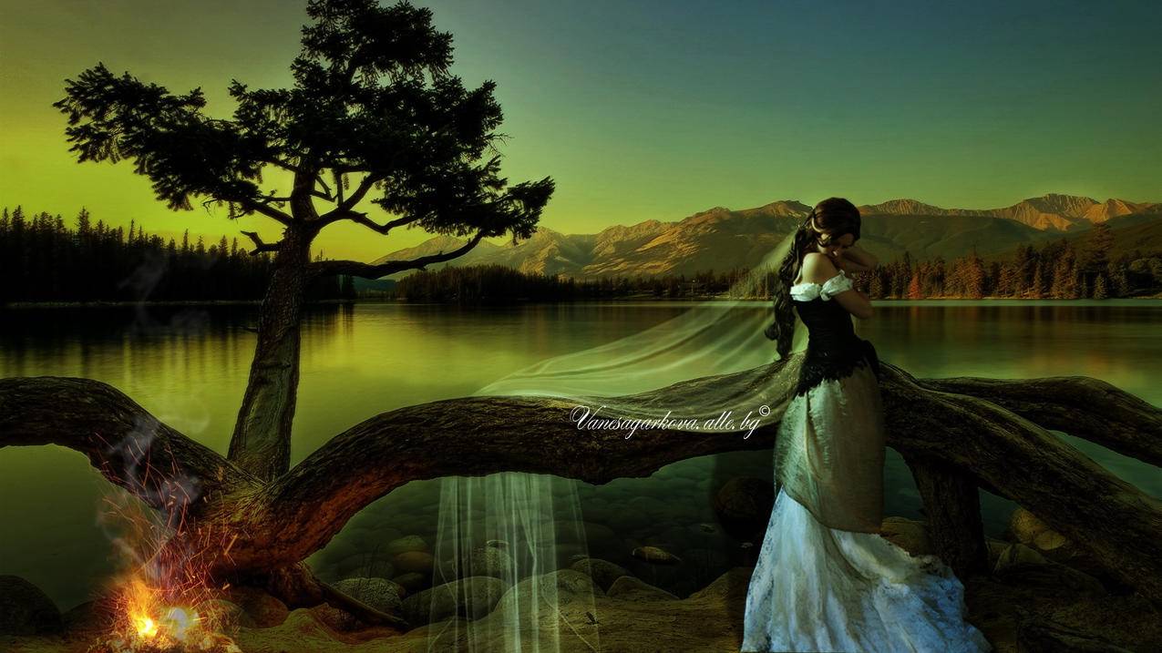 谷歌支付能绑香草卡吗  ( 谷歌开发者付费用什么卡 ) - 55dz账号网