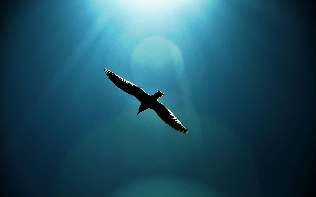 正规QQ业务刷钻平台 - 快手真人刷赞平台,抖音免费刷10个赞,刷抖音赞平台全网+最低价啊豪,代刷加盟