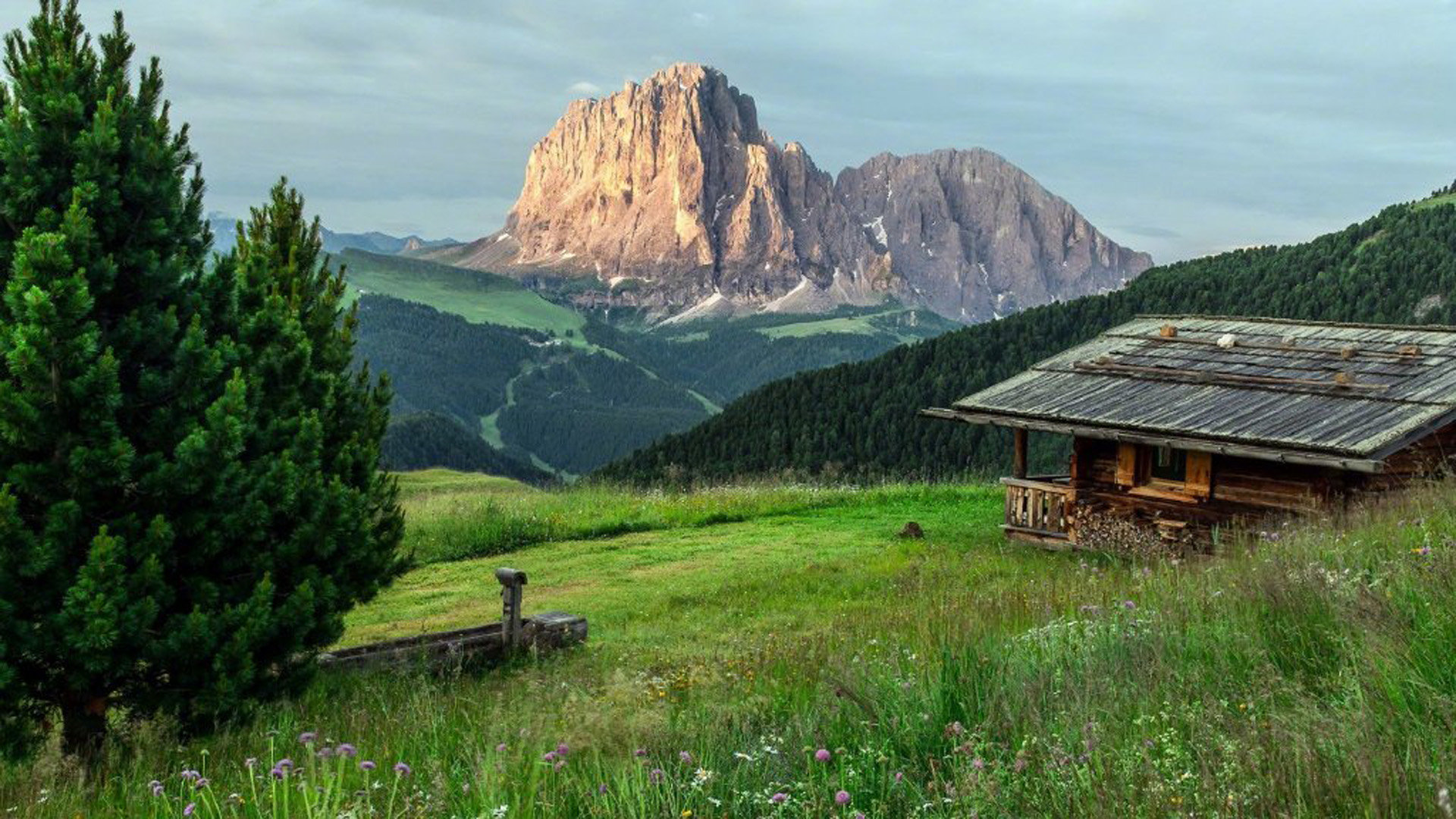 越南appleid手机号不用 怎么验证 - 各区苹果ID - 55dz账号网