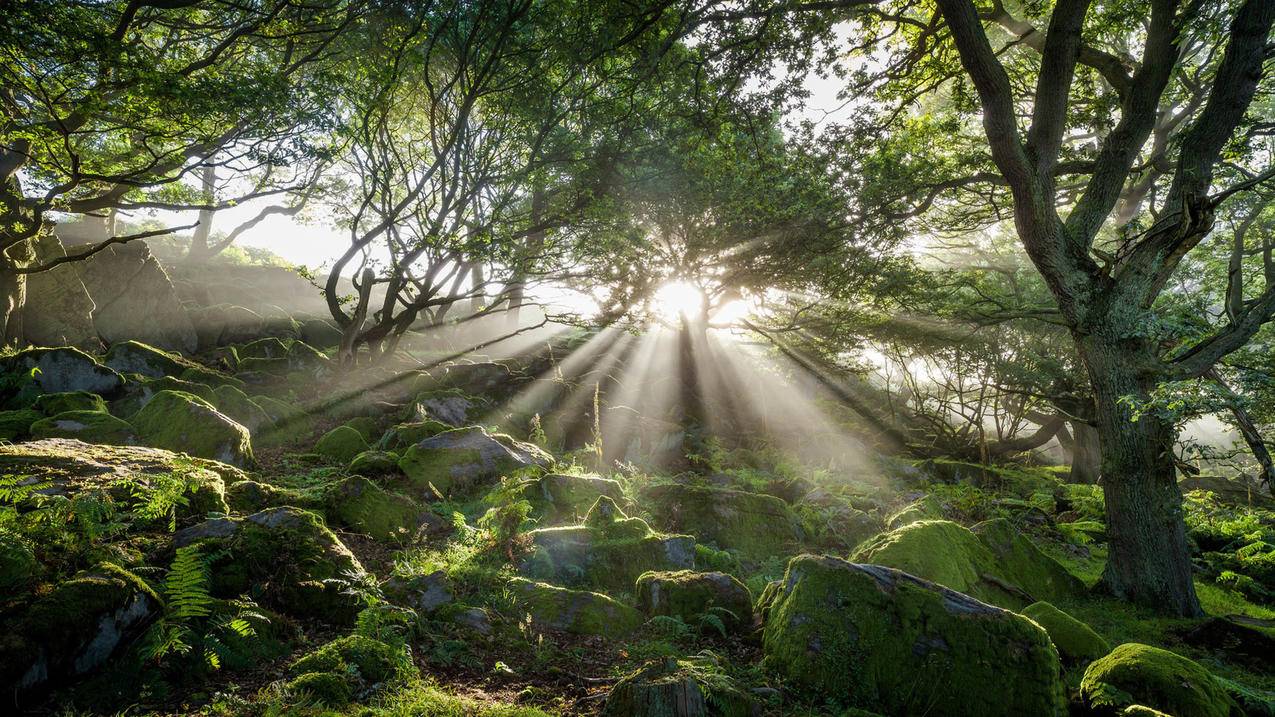 如何DIY小红书爆款手工饰品？完整步骤指南 - 网络资讯 - ks业务下单