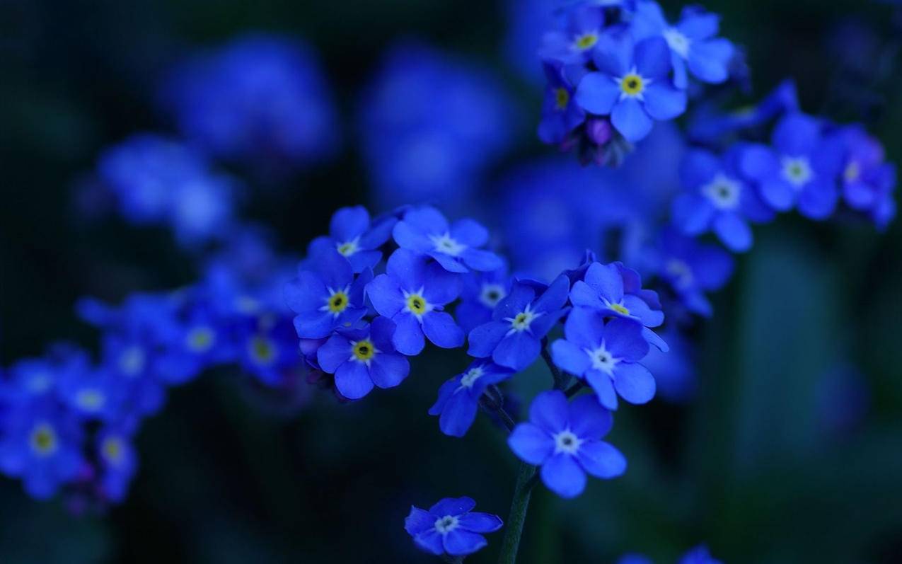 苹果手机电子邮件怎么注册苹果5_苹果6手机电子邮件怎么注册 - gmail相关 - 55dz账号网