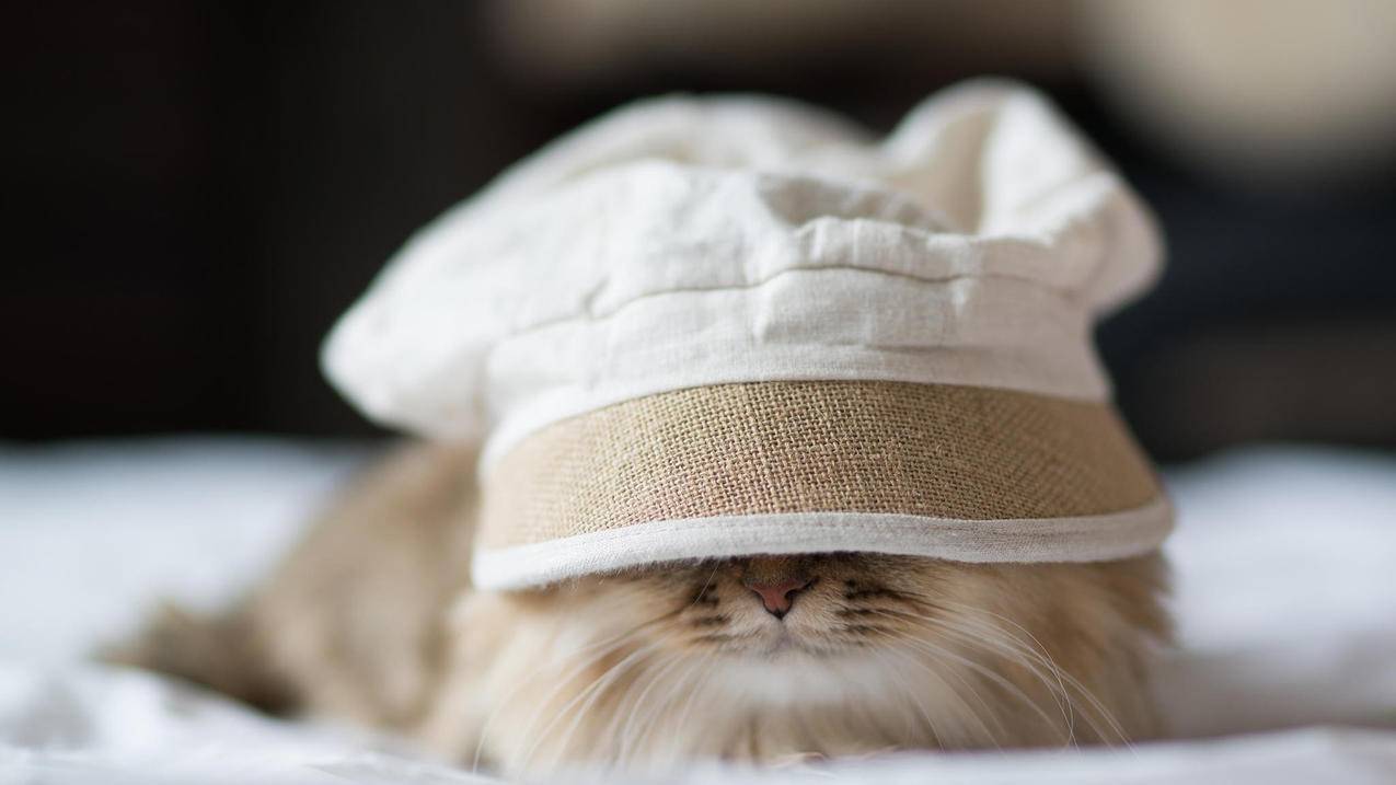 icloud密码和appleid密码不一样吗_id密码和icloud密码是一样的吗 - 各区苹果ID - 55dz账号网